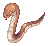 Anacondaq