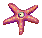 Aster