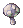 Black Mushroom