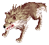 Desert Wolf