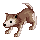 Baby Desert Wolf