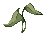 Green Plant