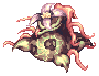 Mandragora