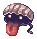 Shellfish