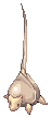 Stem Worm