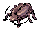 Thief Bug