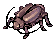 Female Thief Bug